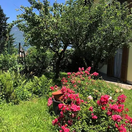 Apartment The Children Smile- With Private Garden Colico